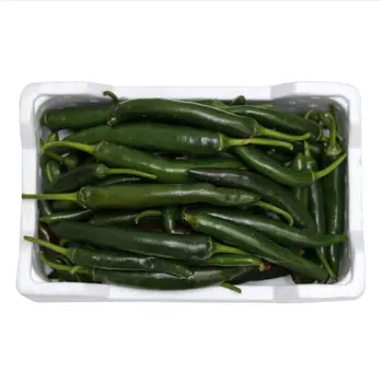 Green Chilli Box
