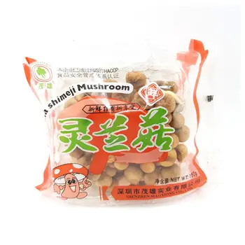 Mushroom Buna Shimeji