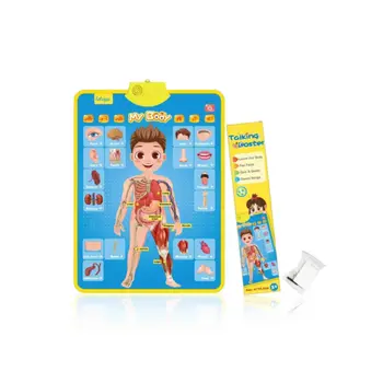 جينيراك ملصق تشريح الإنسان التعليمي التفاعلي متعدد الألوان 41 × 55.5 سم 105657 1قطعة