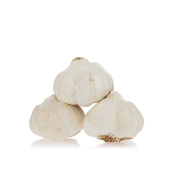 Spanish Jumbo Garlic 1g