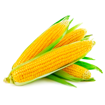 ذرة سكرى 1كيلو