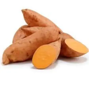 بطاطا حلوه