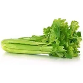 Local Celery