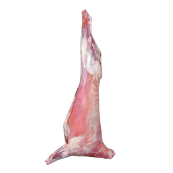 زود ذبيحة تيس طازج، 1كيلو