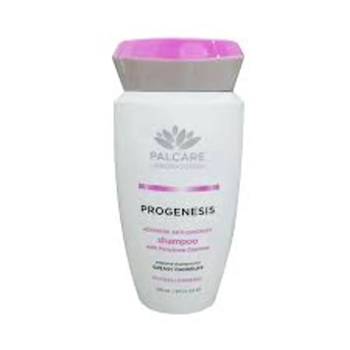 بال كير شامبو القشره الدهنيه 250 مل