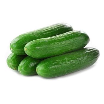 زود خيار في عبوة بلاستيكية 450جرام