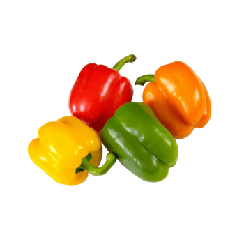 زود فلفل رومي مشكل في عبوة بلاستيكية 450جرام