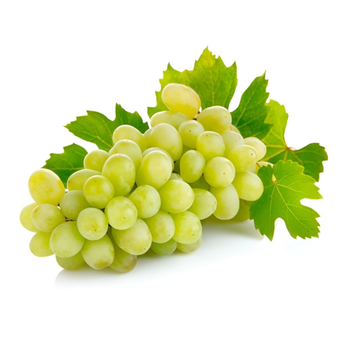 زود عنب أبيض بدون بذور في عبوة بلاستيكية 900جرام