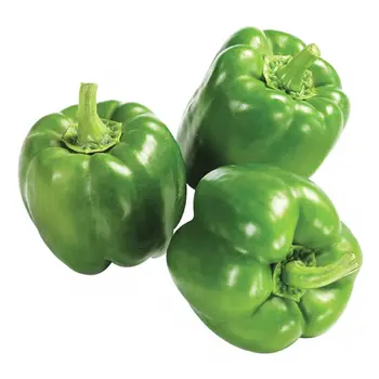 زود فلفل رومي أخضر في عبوة بلاستيكية 450جرام