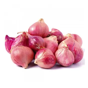 ZOD Red Onion Net Bag 2.9Kg