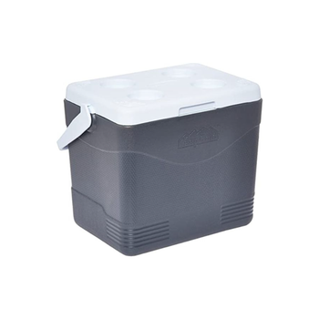 COSMOPLAST Grey BPA-Free Picnic Ice Box 24L