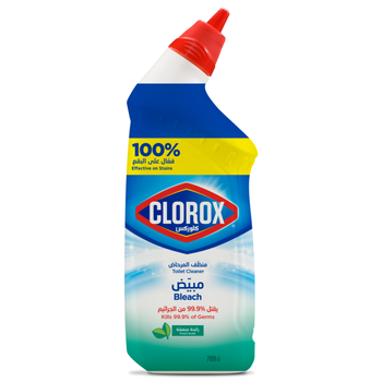 Clorox Fresh Scent Toilet Cleaner 709ml