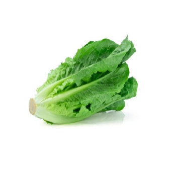 Baladi Lettuce Loose