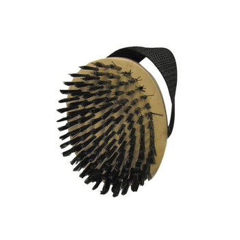 Aloe Care Small Glossing Brush For Pets Black And Beige 2 X 4-1/2Inch 1Piece