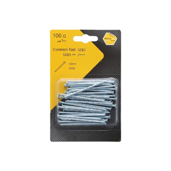 Saco Zinc-Plated Common Nails 63mm 100g