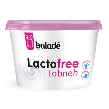 بلدي لبنة خالية من اللاكتوز 400جرام