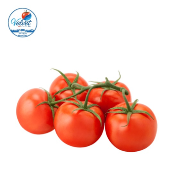 Velvet Red Tomato 1kg