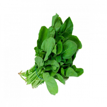 Rocca General Merchandise