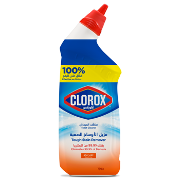 Clorox Bleach-Free Toilet Cleaner 709ml