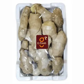 G-Fresh Chinese Ginger 750g