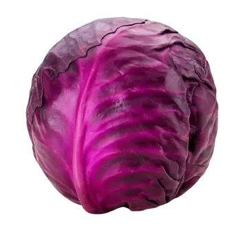 ثمارنا ملفوف أحمر 1قطعة