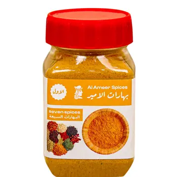 Al Ameer Seven Spices 90g