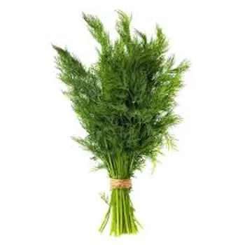 Organic Dill 150g