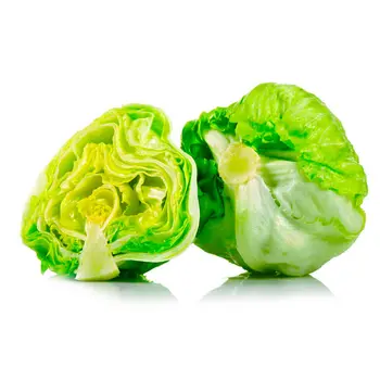 Lettuce iceberg