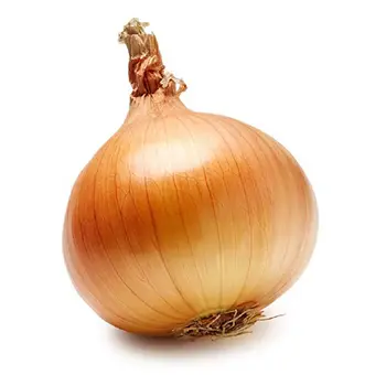 Onion yellow