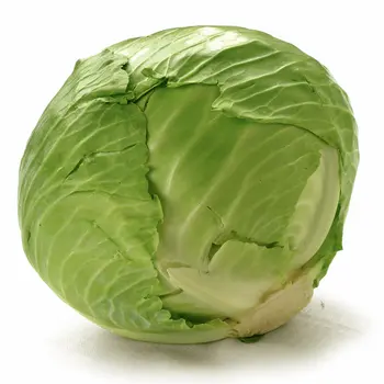 Cabbage leaf
