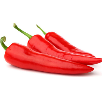 Chili hot red long