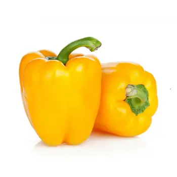 فلفل بارد أصفر