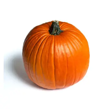 Large pumpkin