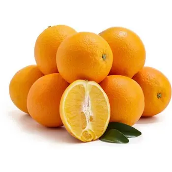 Orange Valencia