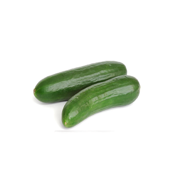 Cucumber