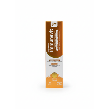 Immunevit Orange Vitamin C Effervescent 90g