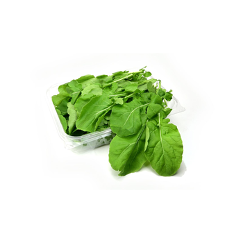 Salwa Organic Farms Organic Arugula 100g