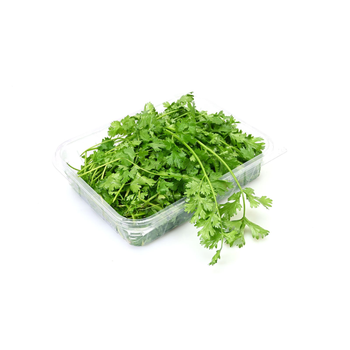 Alsalwa Farm Organic Fresh Coriander 1Piece