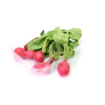 Salwa Farm Organic Red Radish 1Piece
