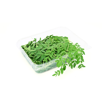 Salwa Farm Organic Fresh Moringa 1Piece