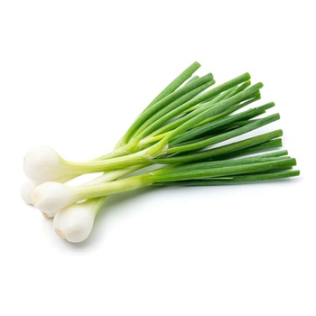 Salwa Farm Organic Green Onions 1Piece