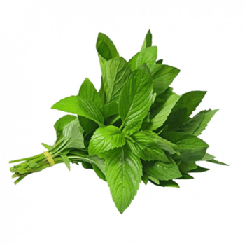 Shahwan Farm Organic Mint 1Piece