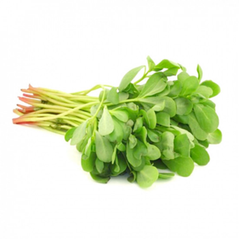 Shahwan Farm Organic Purslane 1Piece