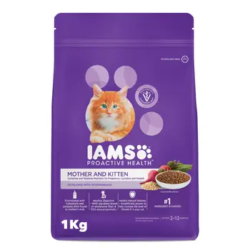 أبمس أكل قطط جاف للأم والقطط الصغيرة 1كيلو