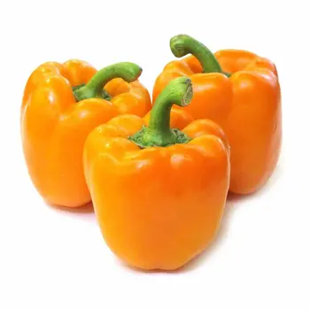 Capsicum Orange Local 500g