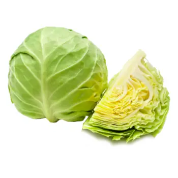 Green Cabbage