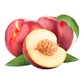 Nectarines