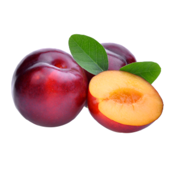 Plums Red