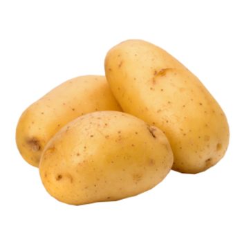 Potato