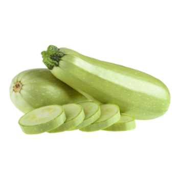 Squash Zucchini